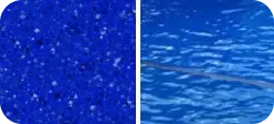 Bermuda Blue