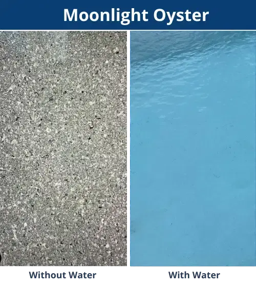 Moonlight Oyster